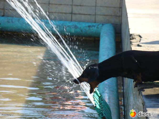 24 фото: АСТРАХАНЬ