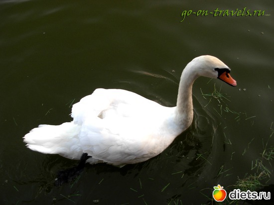 49 фото: АСТРАХАНЬ