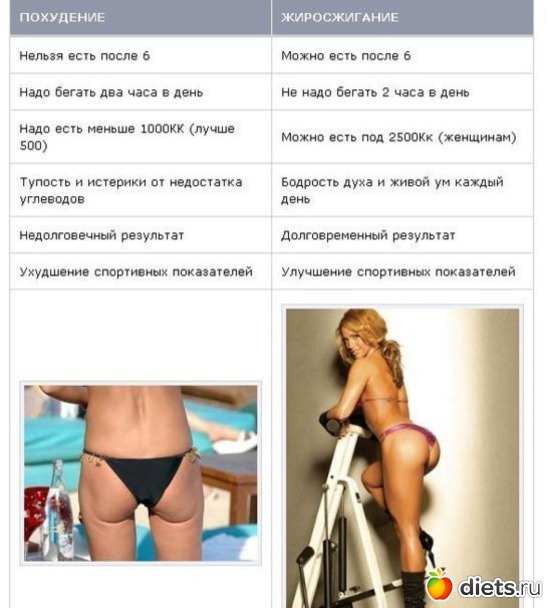 27 ����: ������