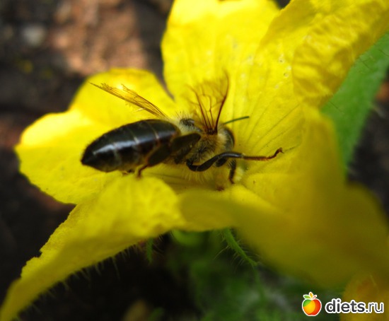 8 ����: ����