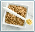 День пловца и "гребца".