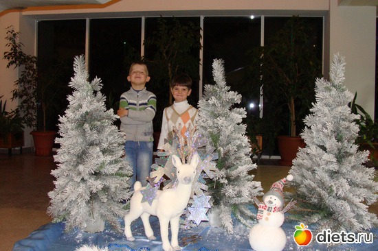 8 ����: 2012