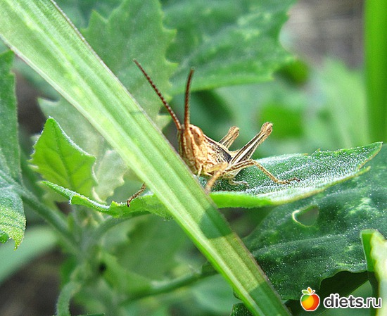 10 ����: ����