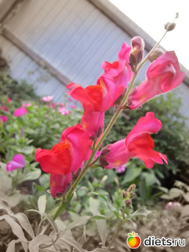 11 ����: ����