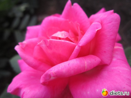 12 ����: ����