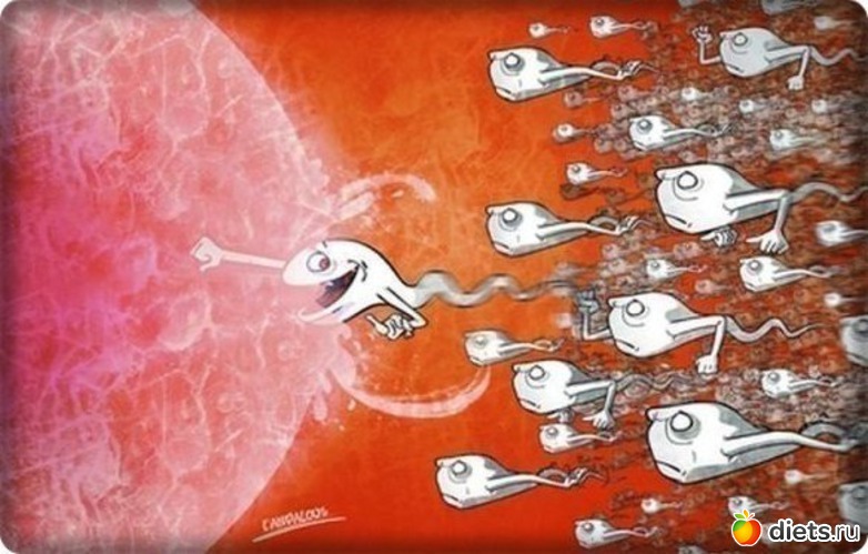   ,  .          250   !, : ....