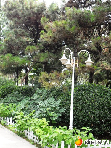 52 ����: ��������-2010