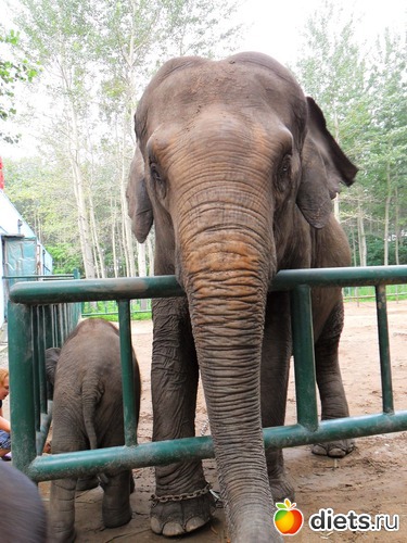 8 фото: Бэйдайхе-2010