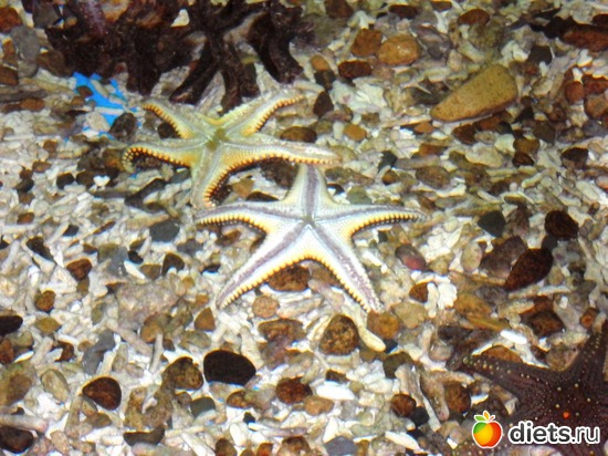 12 фото: Бэйдайхе-2010