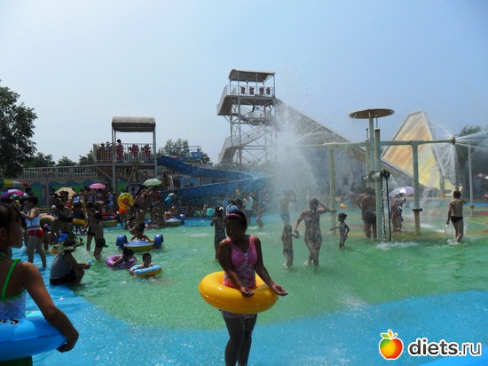 22 ����: ��������-2010