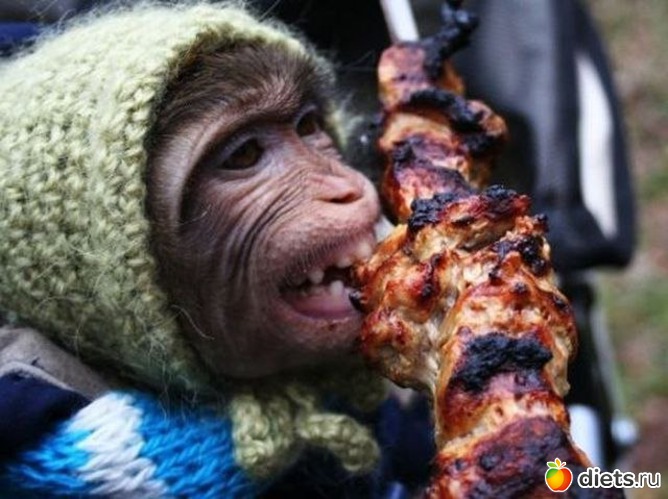 2 фото: никогда не сдавайся:))