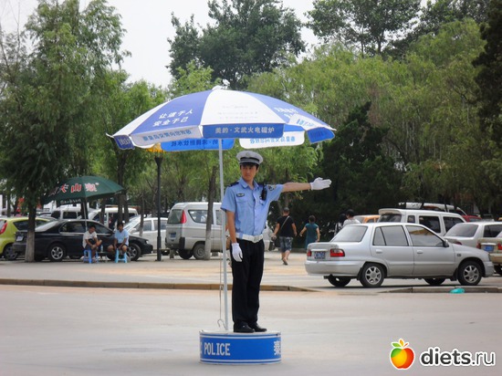 43 ����: ��������-2010