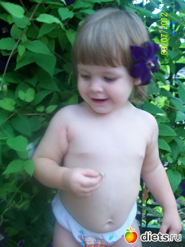 11 ����: ��� �������-�����