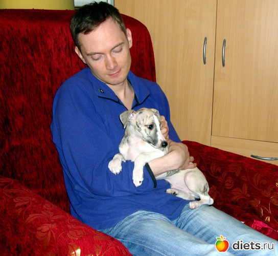 3 ����: ����  �  ������������  �������� 2011 - 2012