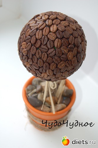 кофейное деревце, альбом: Рукоделки)