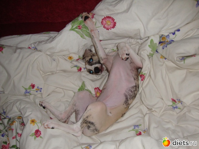 8 фото: Джек с двухдневного возраста 2011 - 2012