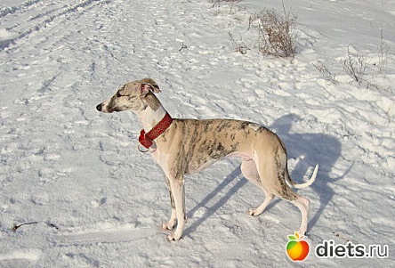 ����  �  ������������  �������� 2011 - 2012