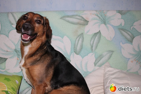 3 ����: ���� �������