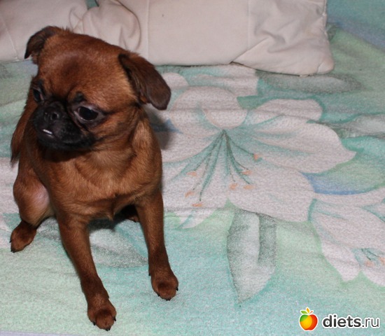 4 ����: ���� �������