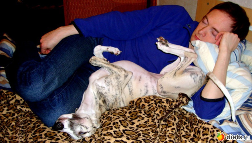 15 ����: ����  �  ������������  �������� 2011 - 2012