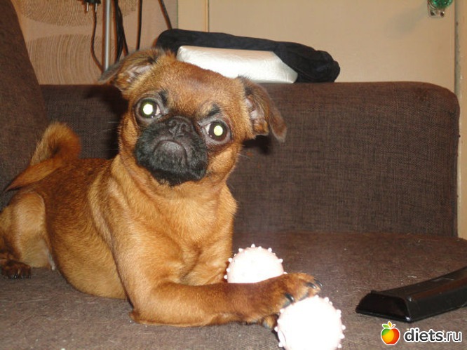 9 ����: ���� �������