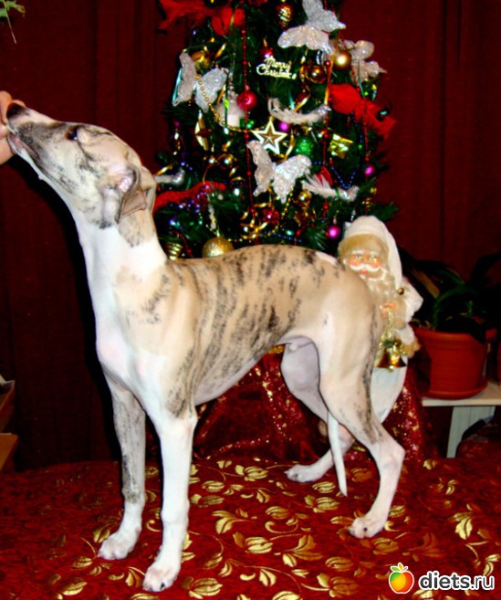 20 ����: ����  �  ������������  �������� 2011 - 2012