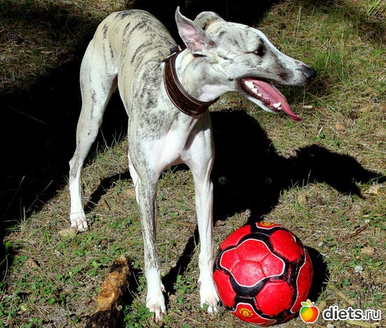 21 ����: ����  �  ������������  �������� 2011 - 2012