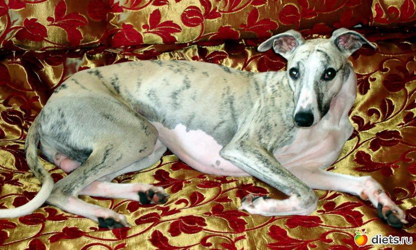 22 ����: ����  �  ������������  �������� 2011 - 2012