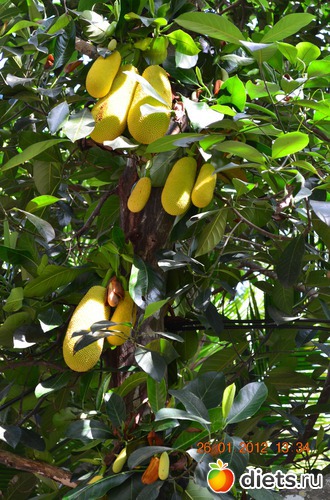 5 ����: �������