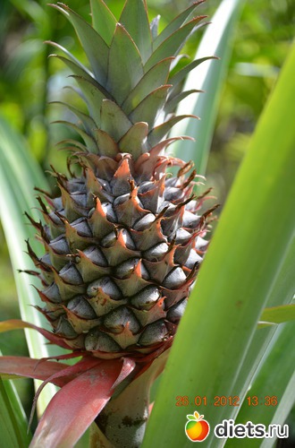 6 ����: �������