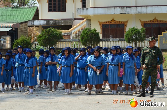 10 ����: �������