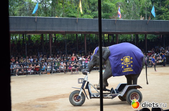 14 фото: Таиланд