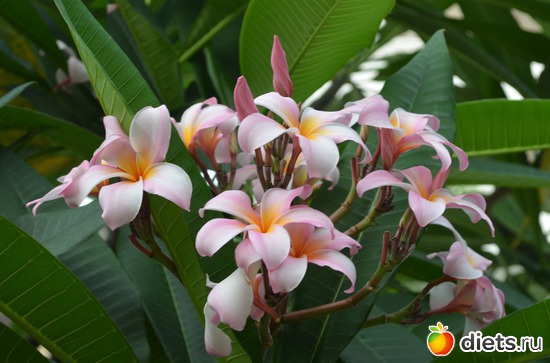 16 ����: �������