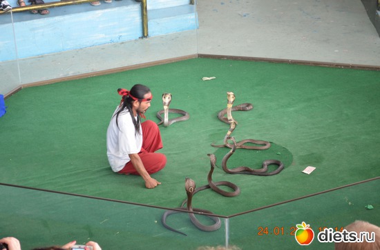 18 ����: �������