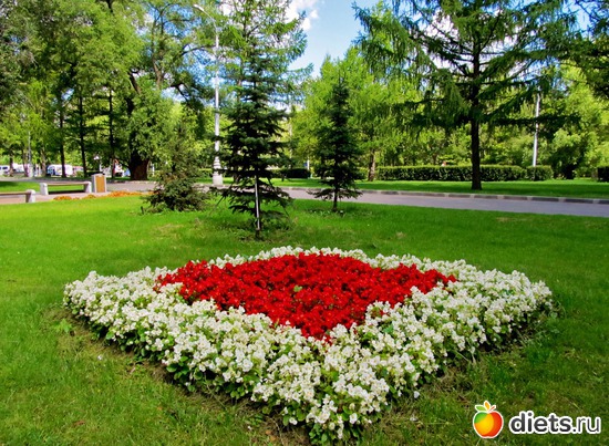 9 ����: � ������ "������"