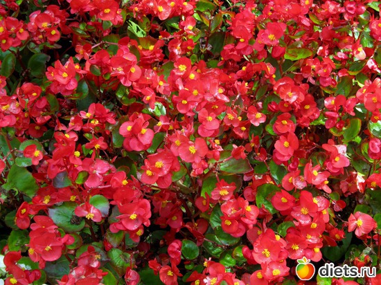 10 ����: � ������ "������"