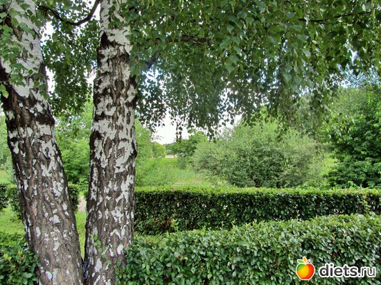 11 ����: � ������ "������"