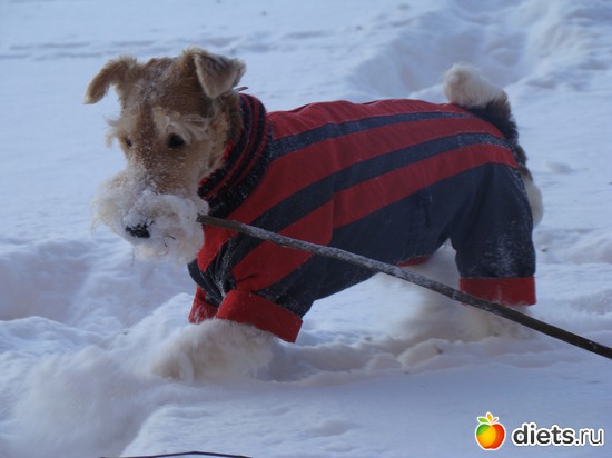 10 фото: Моя Живность