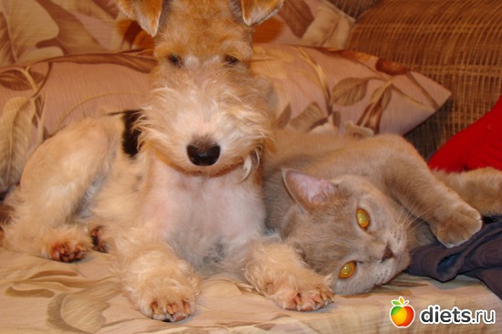 16 фото: Моя Живность