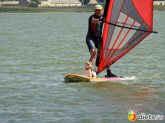 23 фото: Моя Живность