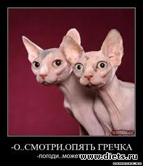 ������ �� ������