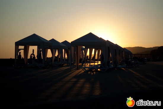 28 ����: ��������������