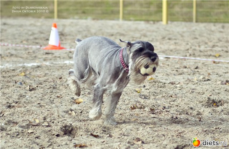 2 ����: ��������