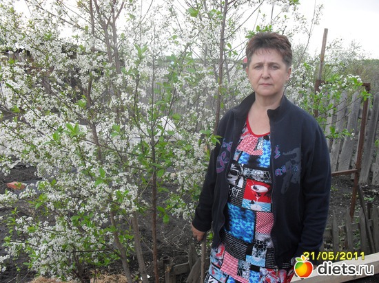 3 ����: ��� ���, ���� ���������.