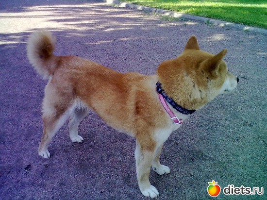 42 фото: Дорога домой!