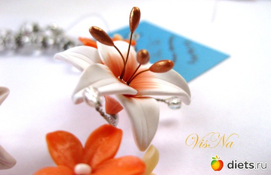 206 ����: ��� ������ �� ���������� �����