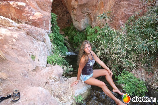 2010, ������: ��� ���������