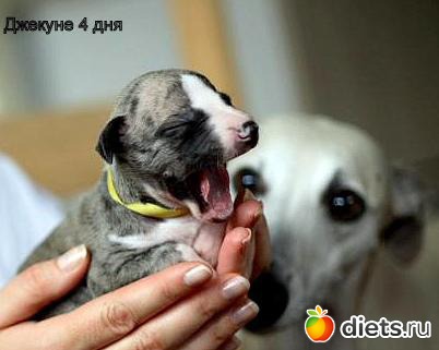 ����  �  ������������  �������� 2011 - 2012