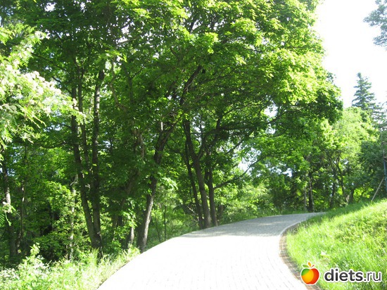 1 ����: ������