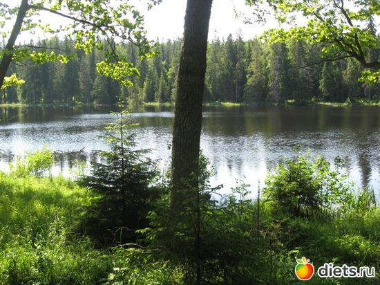 3 ����: ������